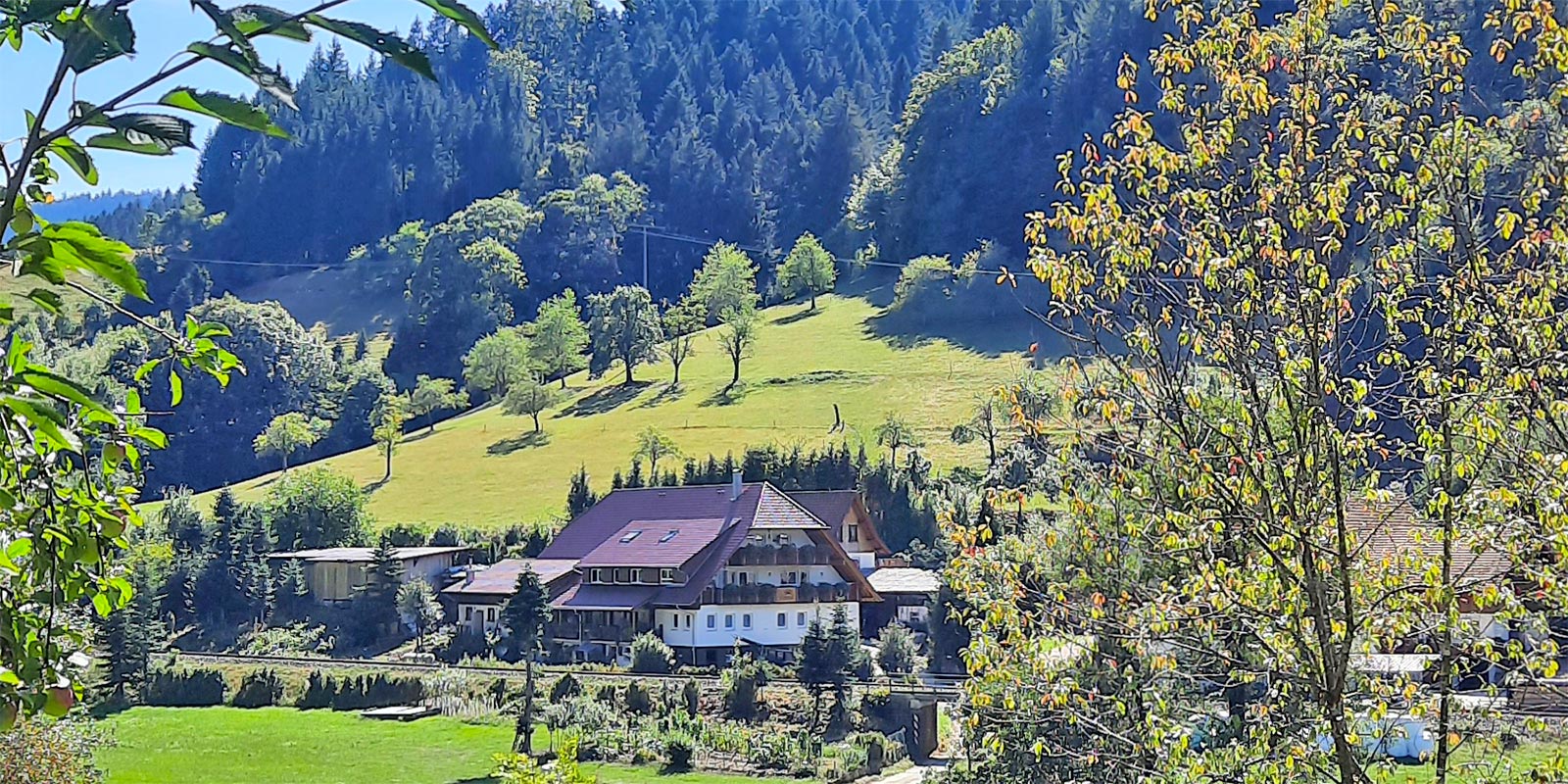 Langenhof Ferienwohnungen auf dem Bauernhof im Schwarzwald